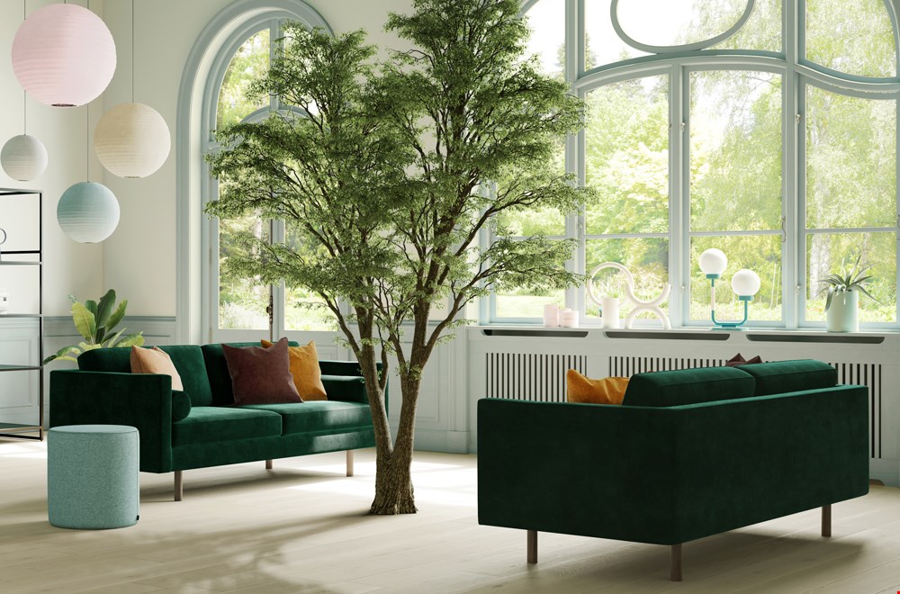 Heel veel bomen bij Sofacompany! Heel veel bomen bij Sofacompany!